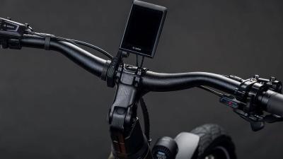 Cube Kathmandu Hybrid Pro 800 sunglow'n'chrome Gr&ouml;&szlig;e: Trapeze 50 cm Produktbild 2