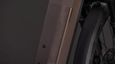 Cube Kathmandu Hybrid EXC 800 cedar'n'chrome Gr&ouml;&szlig;e: Easy Entry 62 cm Produktbild 3